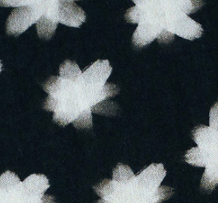 Midnight - SHOOTING STAR - Double Gauze