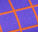 Beetles & Bugs - GRIDS - Sweat