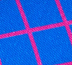 Beetles & Bugs - GRIDS - Sweat