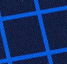 Beetles & Bugs - GRIDS - Sweat