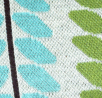 Beetles & Bugs - LIANA