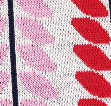 Beetles & Bugs - LIANA