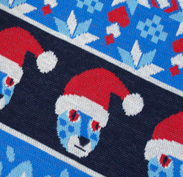 Wild XMas 2025 - NORDIC LEO