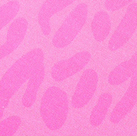 Wild XMas 2025 - SAFARI - Sweat