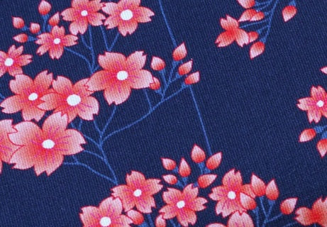 Sakura - HANA - Jersey