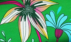 SHINE - Flourish and Shine - Jersey