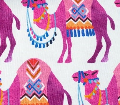 Orient Oxident - CAMEL RIDE - Jersey