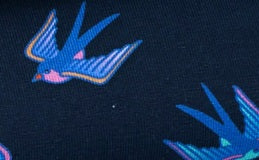 Ahoy - LITTLE - Jersey